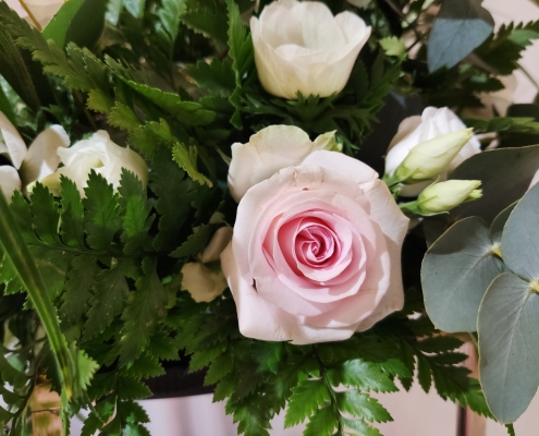 Le chic de la rose rose poudrée